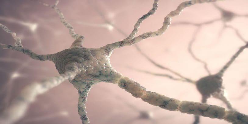 NLP Brain