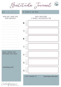 gratitide_and_positivity_journal-210x300-4302139